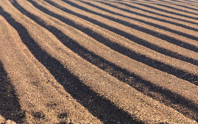 High angle view of field