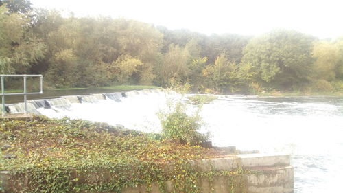 Scenic view of river in forest against clear sky