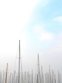 Sailboats moored in sea against sky
