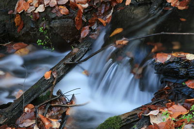 View of waterfall