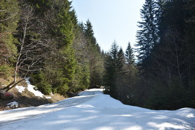 Road amidst trees and snowcapped mountains against sky