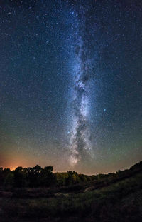 Low angle view of trees against star field at night