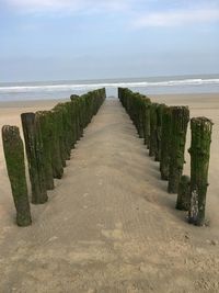 Wooden posts on beach against sky