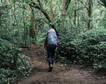 Rear view of man walking in forest