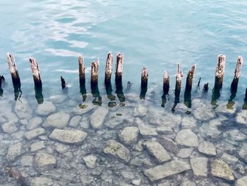 High angle view of wooden posts in sea