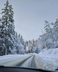 Road amidst trees against clear sky during winter