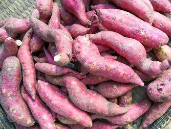 Close-up of carrots for sale in market