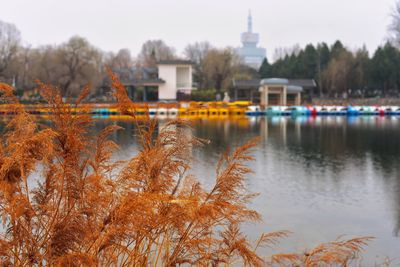 Scenic view of river by buildings against sky