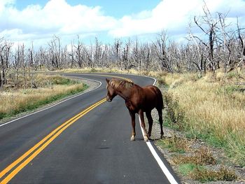 Empty road along landscape