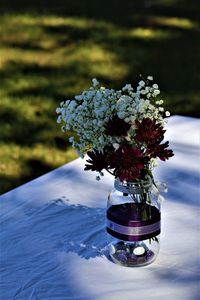 Close-up of red flower in pot