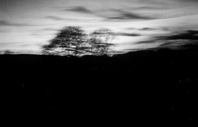 Close-up of tree against sky