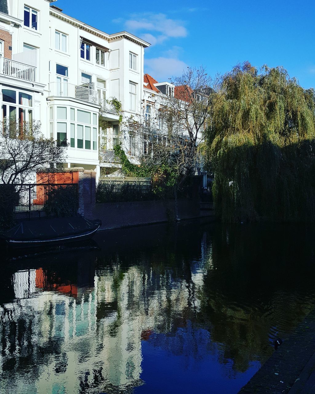 REFLECTION OF TREES IN WATER