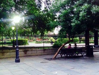 Empty bench in park