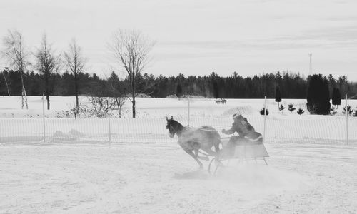 Person riding horse on snowy field