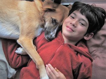 Portrait of teenage boy relaxing with dog on bed at home