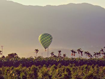 Hot air balloon flying over trees against mountain