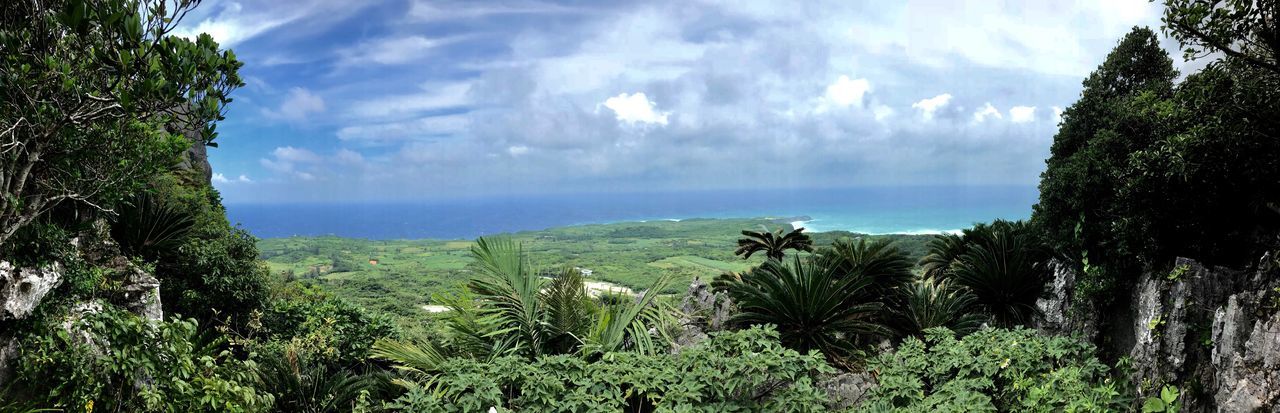 plant, cloud - sky, sky, beauty in nature, tree, scenics - nature, tranquil scene, tranquility, tropical climate, nature, environment, water, sea, growth, palm tree, landscape, day, no people, panoramic, land, outdoors