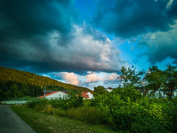 Scenic view of trees and buildings against sky