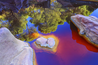 Close-up of rock by lake