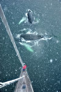 Person surfing on sea