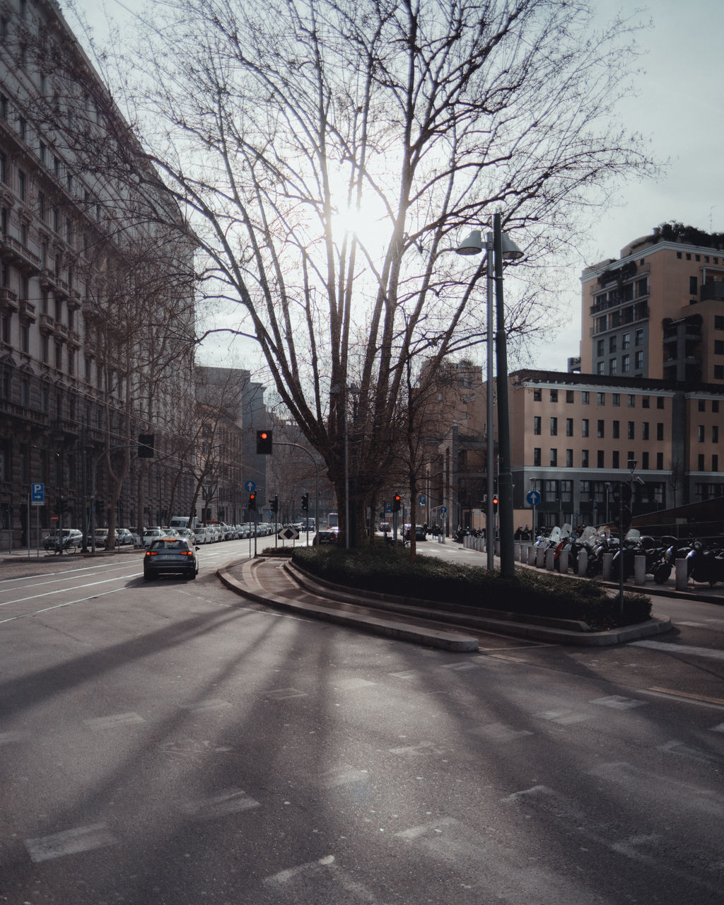 CARS ON CITY STREET BY BUILDINGS IN TOWN