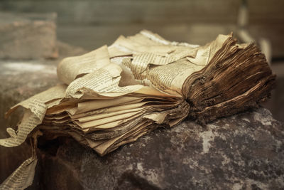 Close-up of old damaged book on retaining wall