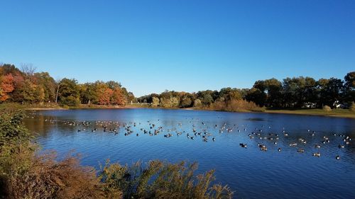 Scenic view of lake against clear blue sky