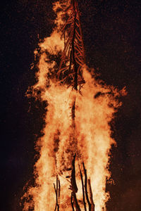 Low angle view of fire in forest at night