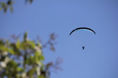 People paragliding against blue sky