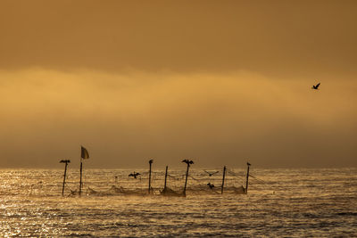 Silhouette of birds on sea against sky during sunset