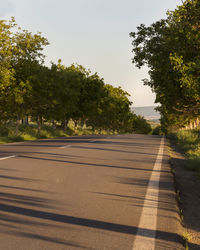 Road by trees against sky