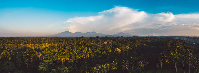 Panoramic view of field against sky