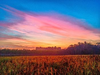 Scenic view of field against sky during sunset