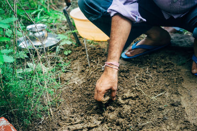 Low section of man gardening in garden