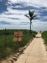 Road by palm trees on field against sky