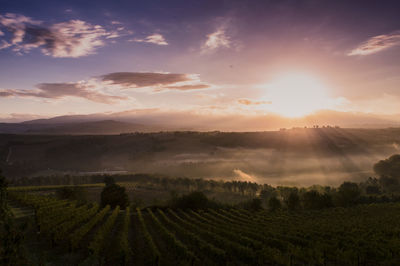 Scenic view of agricultural field against sky during sunset