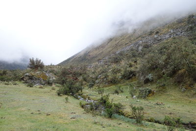 Scenic view of landscape against sky
