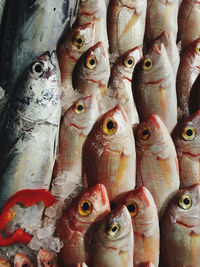 Full frame shot of fish for sale in market