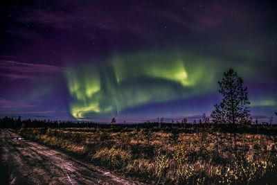 Panoramic shot of land and trees against sky at night