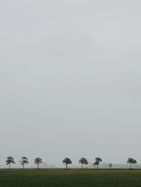 Scenic view of field and trees against sky