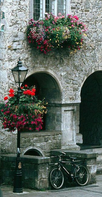 flower, architecture, built structure, building exterior, plant, red, potted plant, growth, arch, brick wall, wall - building feature, freshness, fragility, wall, stone wall, bicycle, pink color, flower pot, day, outdoors