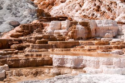 Mammoth hot springs in yellowstone np