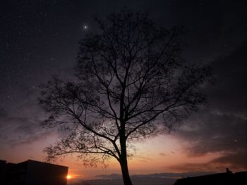 Silhouette of bare tree against dramatic sky