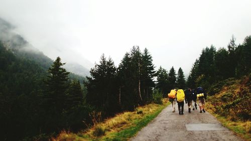 Rear view of people walking on road in forest