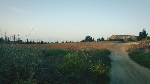 Scenic view of landscape against clear sky