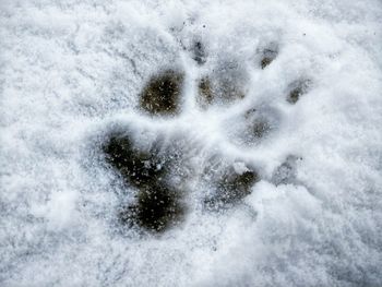 Close-up of snow