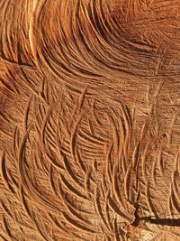 Full frame shot of wood