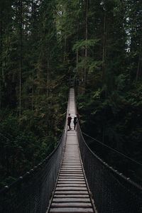 High angle view of friends standing footbridge in forest