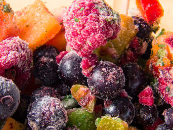 Close-up of multi colored candies