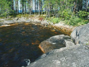 Stream flowing through rocks in forest